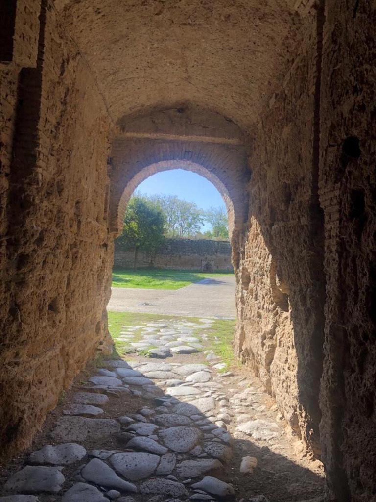 شقة Casuale House Castel Sant'Elia المظهر الخارجي الصورة